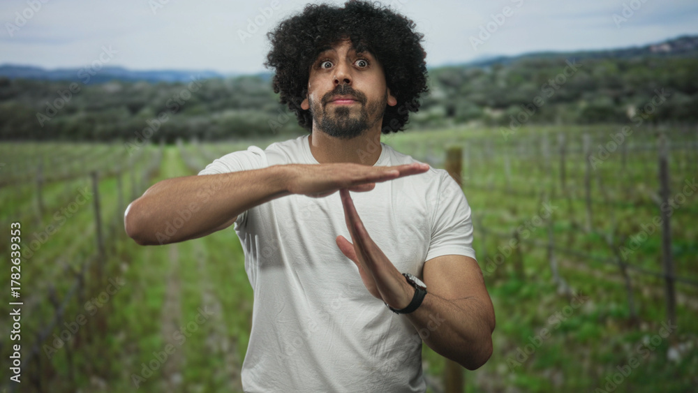Fototapeta premium Man with curly hair and beard makes timeout sign with both hands in a forest among rows of vines, wearing a white t shirt and looking at camera; determination.