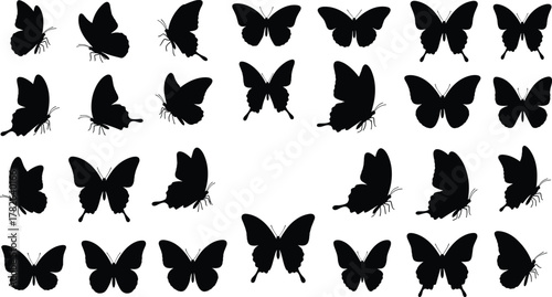 Butterfly silhouette, insect, black wings, vector illustration, entomology, nature, wildlife, fauna, biodiversity, decorative, design, art, pattern, collection, grid, symmetry, flying insect,