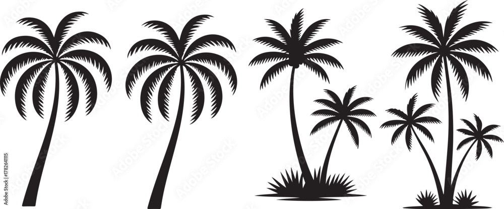 Fototapeta premium Set of palm tree silhouette.