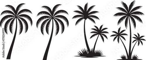 Set of palm tree silhouette.