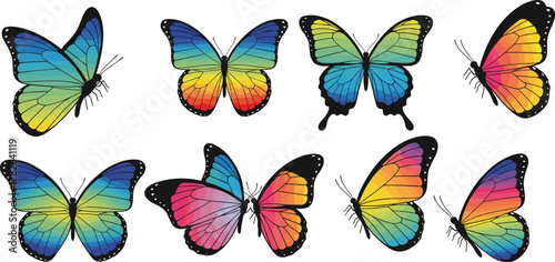 Butterfly, colorful wings, insect, nature, vibrant pattern, symmetrical design, entomology, wildlife, garden, pollinator, tropical, exotic, flying insect, artistic illustration, decorative,