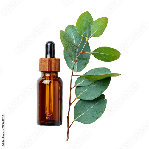 Natural Wellness Extract With Eucalyptus Leaves Beside a Glass Dropper Bottle