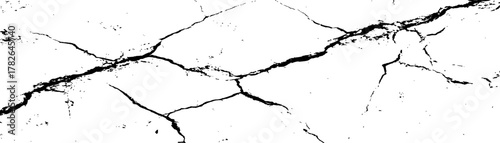 Cracked surface pattern displaying intricate details of a dry and damaged terrain. Fractured surface, a network of deep cracks radiating across a white background. 
