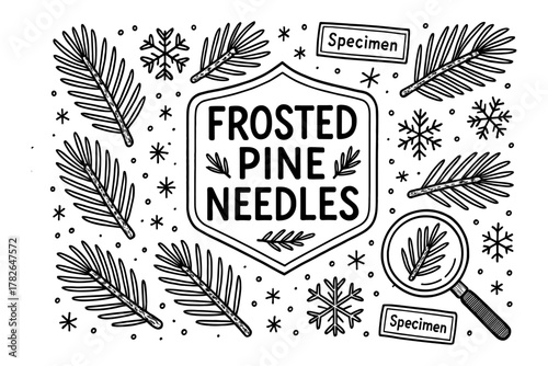 Frosted pine needles with snowflakes and specimen design in black and white