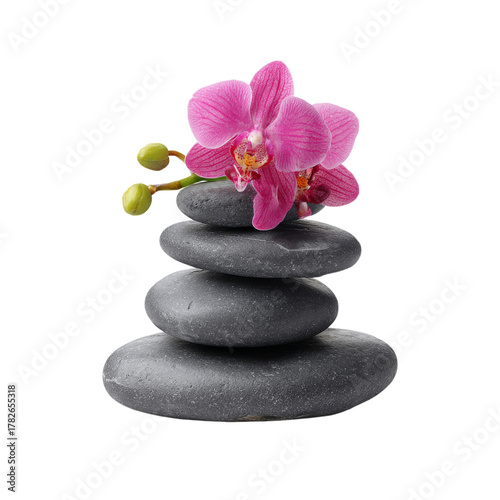 Balance of Stones and a Pink Orchid in a Serene Arrangement
