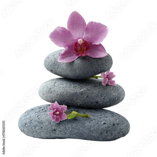 Balance of Stones and a Pink Orchid in a Serene Arrangement