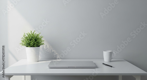 Modern minimalist workspace setup with laptop, plant, and coffee cup bathed in soft natural light