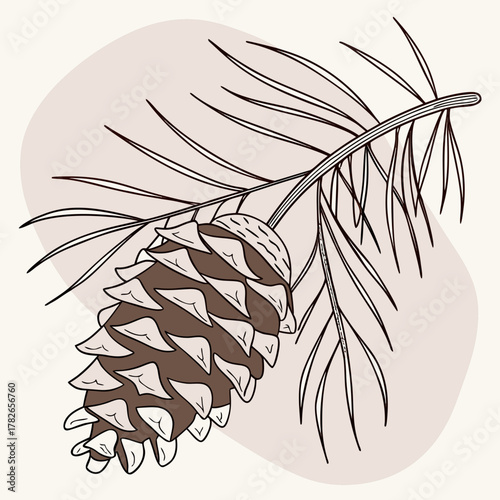 A pine cone hanging from a branch with needles and a beige background