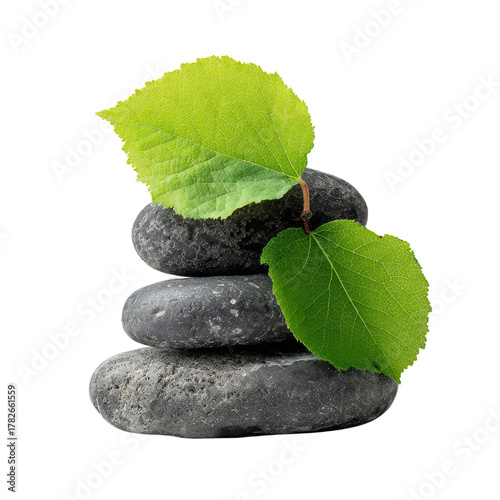 Balanced Stones With Green Leaves on Top Create a Calming Natural Display