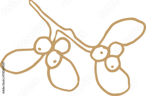 Whimsical line art golden illustration of mistletoe branch with berries. Vector Christmas doodle graphic