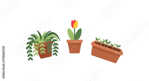 Collection of three illustrated potted plants a hanging vine a tulip and seedlings in a planter box.