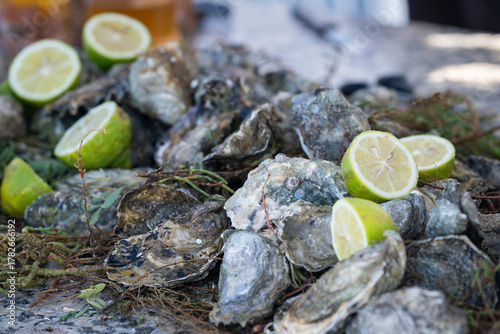 Obraz na plátně Fresh oysters pile on fish market in Essaouira medina port sea food sale in Morocco