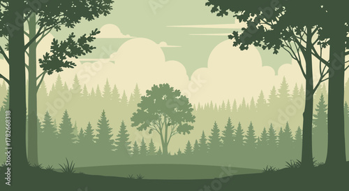 Tranquil woodland landscape featuring a serene forest with coniferous trees