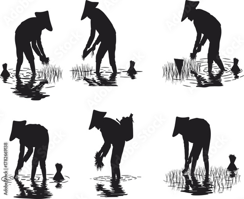 Traditional rice planting illustration, farmers working in paddy field, rural agriculture lifestyle, manual rice cultivation, farming labor, countryside livelihood, wet field work