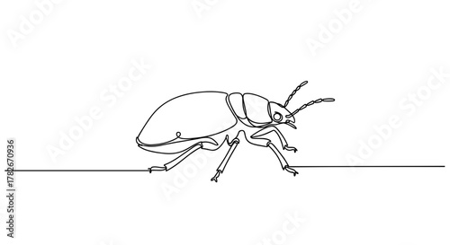 Line drawing of a beetle crawling on a flat surface  