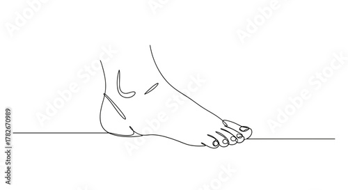 Anatomical illustration of a foot with highlighted structures  