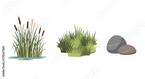Vector Illustration of Cattails with Green Leaves and Brown Seed Heads.