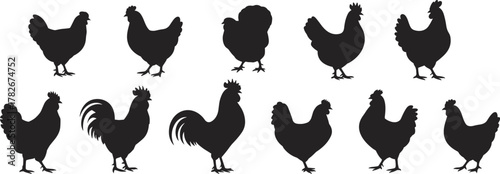 Chicken silhouette collection featuring hens and roosters in various postures and breeds, ideal for farm, poultry, educational, and graphic design use