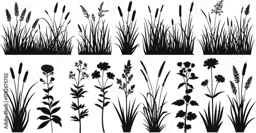 Silhouette grass and wildflowers collection, botanical vector elements, nature plant icons, black floral shapes, isolated garden foliage set, flat vector illustration
