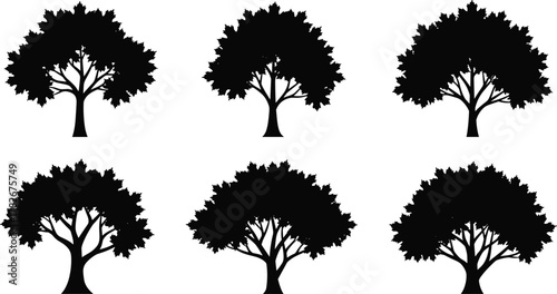 Deciduous tree silhouette set, forest plant icons, seasonal nature collection, flat vector illustration for landscape, botanical, environmental, design use