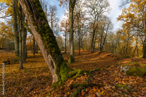 Latvia. Krimulda. Autumn in the park.	
