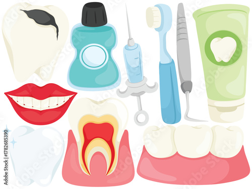 Vector Dental Clip Art Set Dentist Care Tooth Gums Mouthwash Syringe Toothbrush Toothpaste Anatomy Smile Illustration Medical Health Hygiene