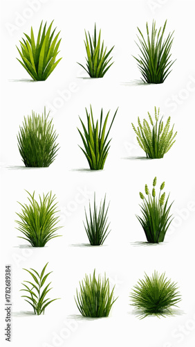 vector set of grass