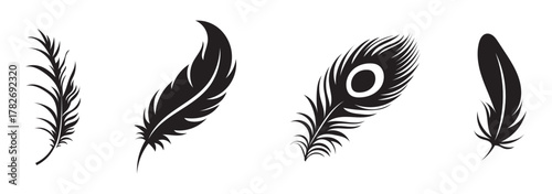 Black bird feathers vector illustration, hand-drawn feather collection, nature-inspired silhouette art, detailed plume sketch set, rustic boho design element