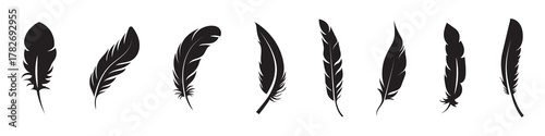 Collection of black feather silhouettes in various shapes