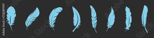 Minimal black feather silhouettes in assorted slim and curved forms, vector illustration set. Decorative bird feathers with clean lines arranged in two neat rows.