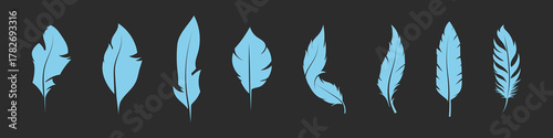 Bird feather icons on a white background. Black abstract feather silhouette collection. Elegance feather element decoration, Vector