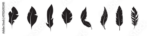 Bird feather icons on a white background. Black abstract feather silhouette collection. Elegance feather element decoration, Vector