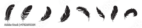 Bird feather icons on a white background. Black abstract feather silhouette collection. Elegance feather element decoration, Vector