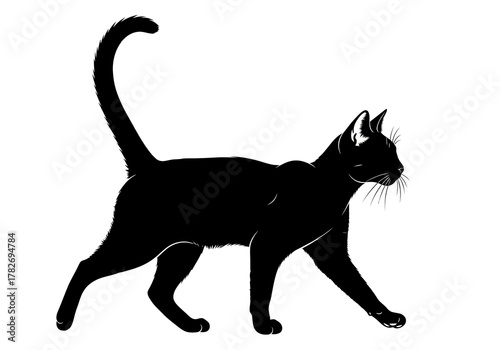 A sleek black cat in silhouette walking with a curved tail