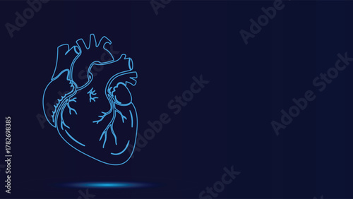 Detailed Human Heart Anatomy Vector Graphic Illustration for Medical Education Materials and Healthcare Design Projects- Cardiovascular System Visualization Resource