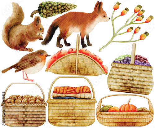 Watercolor Autumn Picnic Clip Art Set Animal Squirrel Fox Robin Bird Basket Pumpkin Acorn Apple Bread Food Illustration Forest Harvest Thanksgiving