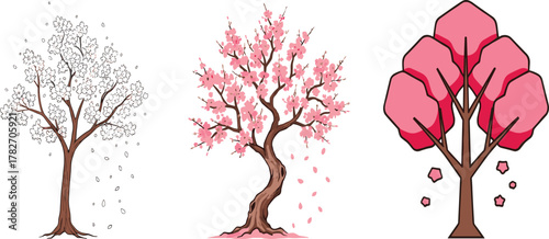 Cherry blossom tree illustration set showing three artistic styles of blooming sakura trees with petals and floral beauty