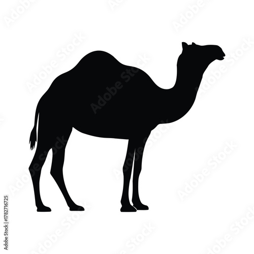 Camel Silhouette Vector Illustration Set  
