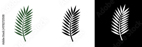 A clean palm frond illustration with long, slender leaves, displayed in color, black, and white. Its elegant shape suggests calm, celebration, or natural symbolism in various designs.