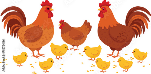 Chickens, roosters, hen, chicks, poultry, farm animals, domestic birds, agriculture, livestock, rural life, family group, cad drawing flat vector illustration