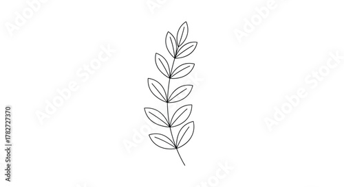 A minimalist black and white line art illustration of a botanical branch with small leaves, perfect for simple graphic designs and decorative elements.