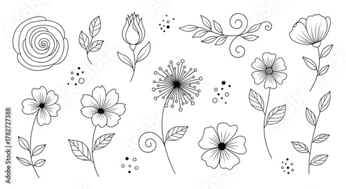A collection of elegant hand-drawn black and white floral line art featuring various decorative botanical elements and delicate illustrations.