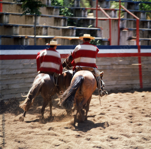 Chile panoramic view of horses with gauchos wearing hats and ponchos training