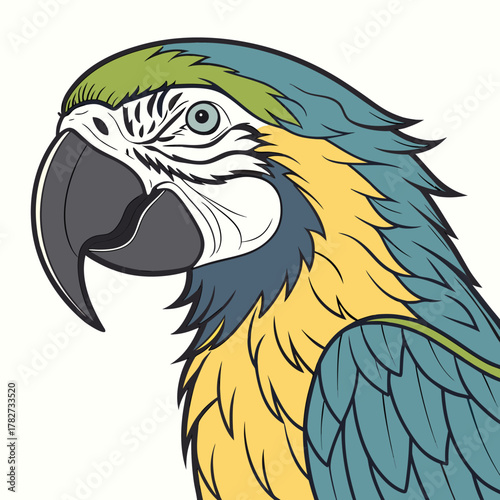 Closeup of a colorful macaw parrot, looking left