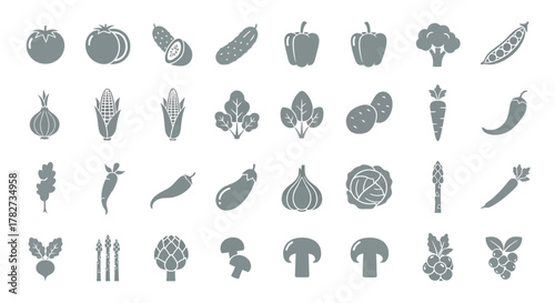 Collection of fresh vegetables in monochrome style healthy eating concept vector illustration of various veggies