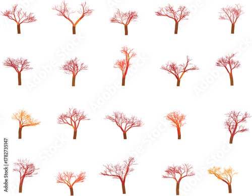 Collection of stylized bare trees in shades of red orange and yellow trees set branch twig