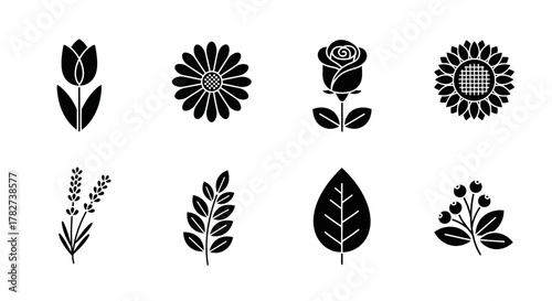 Black and white floral collection featuring diverse botanical shapes and forms