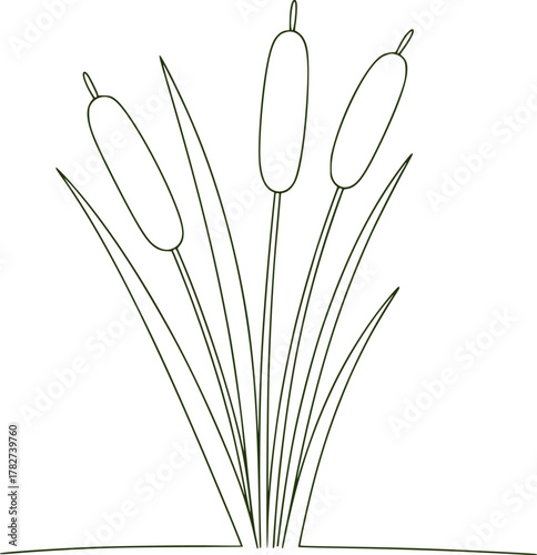 Simple Line Art Illustration of Three Cattails with Green Stems and Leaves