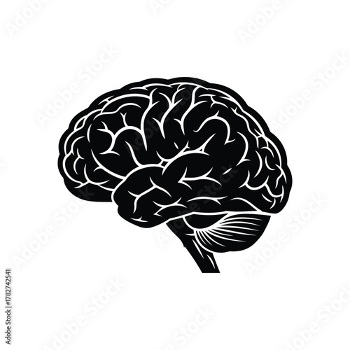 Black and white illustration of a human brain