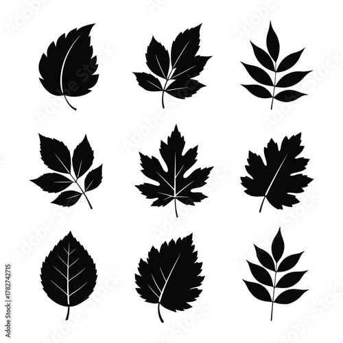 Collection of nine different black leaf silhouettes